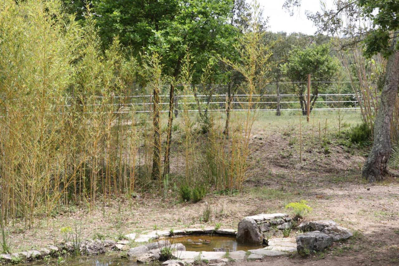 Villa Villekulla dépendance avec spa privatif Le Plan-de-la-Tour Exterior foto